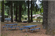 Picnic Tables at the Park
