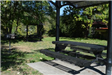 Picnic tables and grills