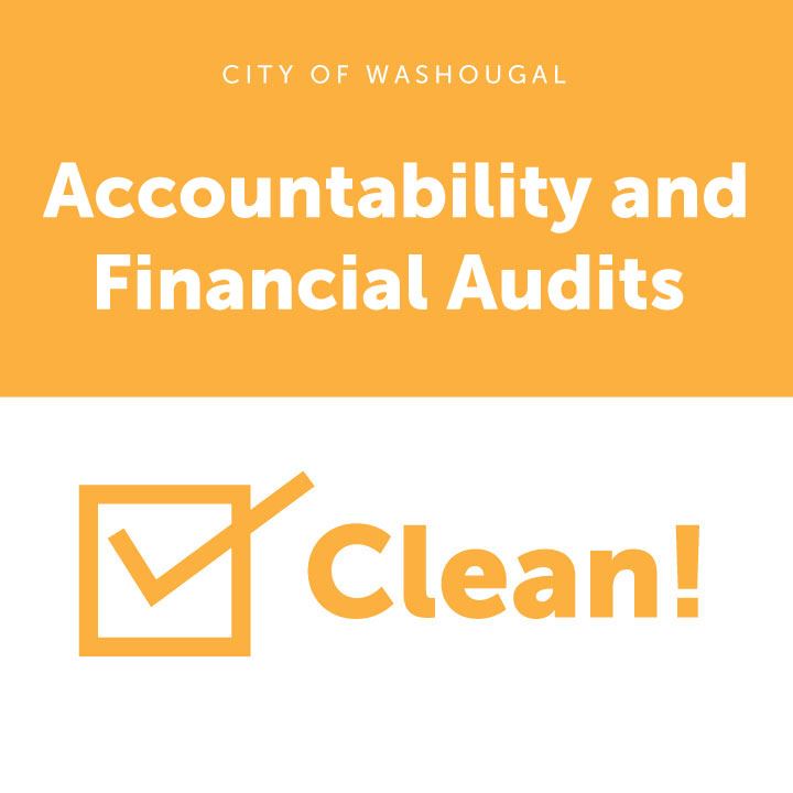 Clean-Audit