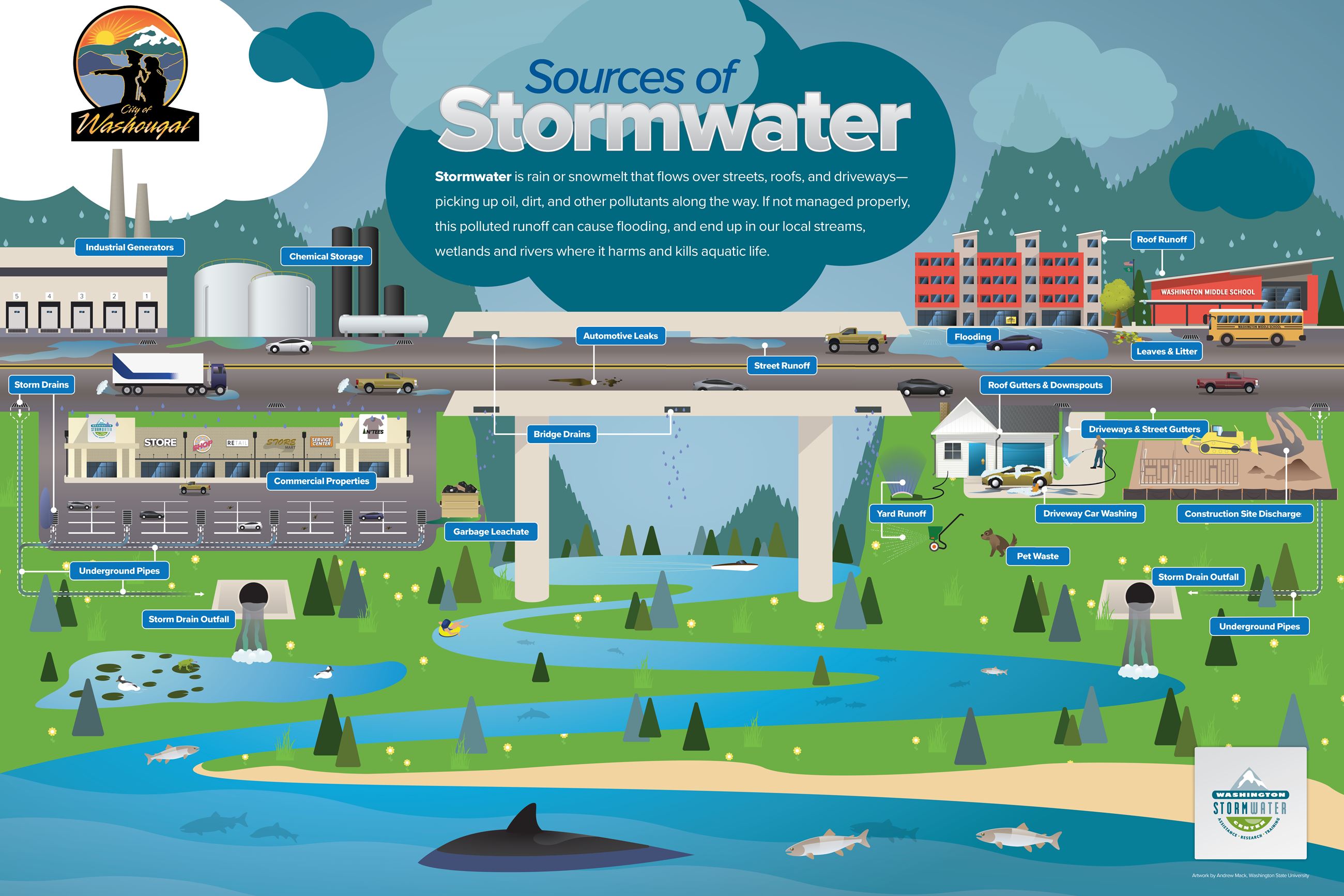 Sources of Stormwater Poster