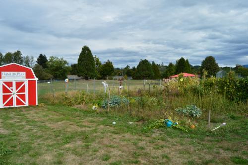 Community Garden at Hamllick Park