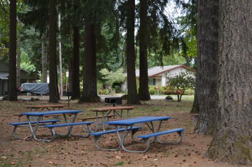 Picnic Tables at the Park