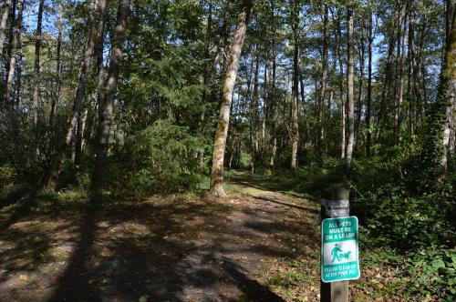 Dog walking sign on a trail