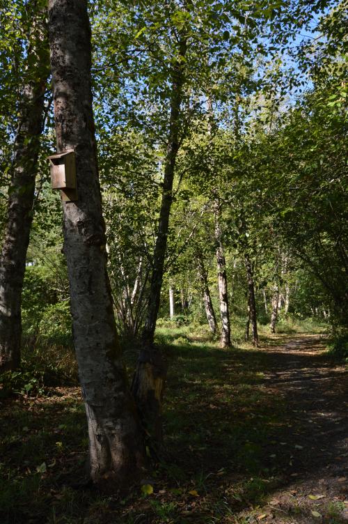 Trail at Mable Kerr Park