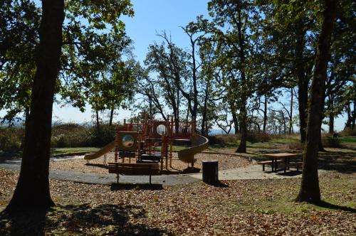 Playground and picnic tables at the park