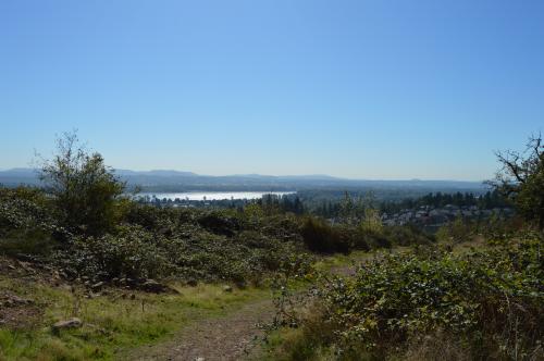 Overlook at Oak Tree Park