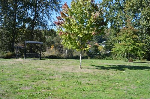 Picnic table at the park