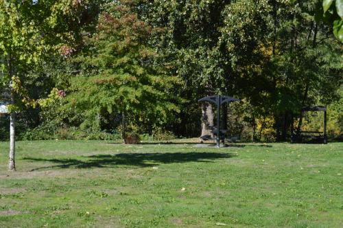 Picnic Table in empty field