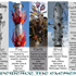Experience the Elements Project