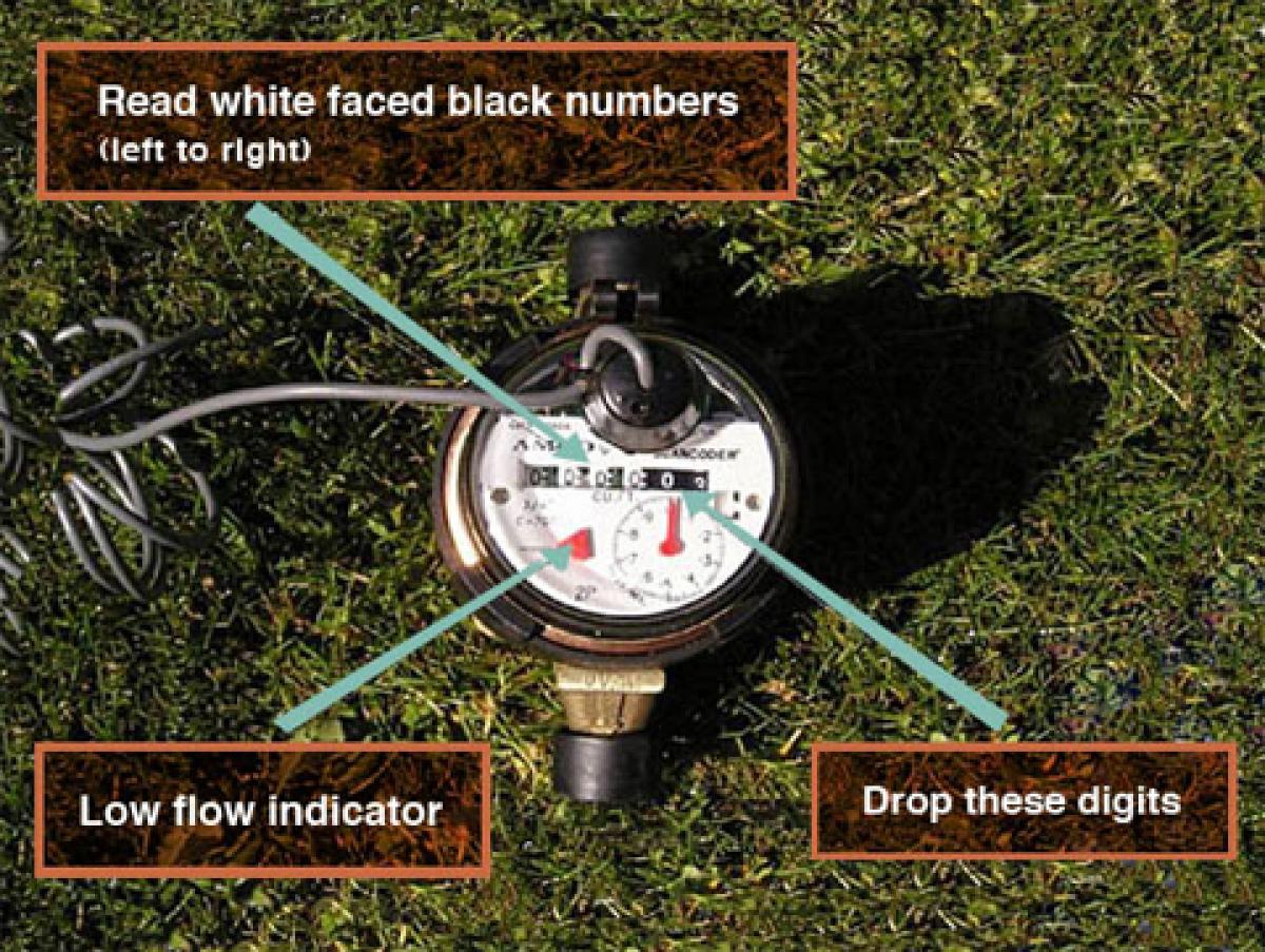 Water Meter and Flow Indicator