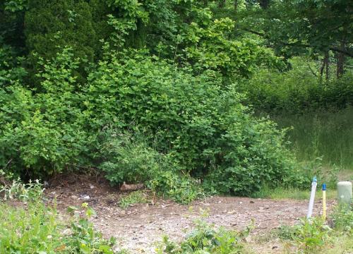 Illegal Dumping Cleaned Up