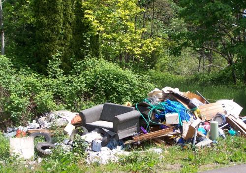 Illegally Dumped Waste