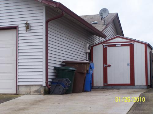 Cleaned Side Driveway