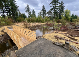 Campen Creek Reconnection Project