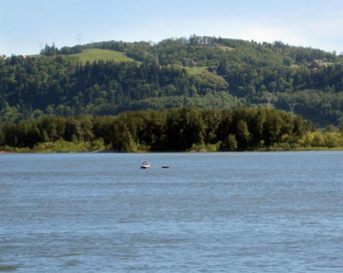 Boat crossing river to forested island