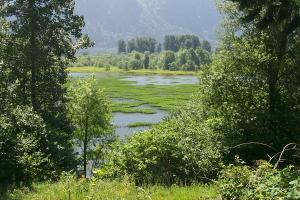Franz Lake from SR14 Overlook